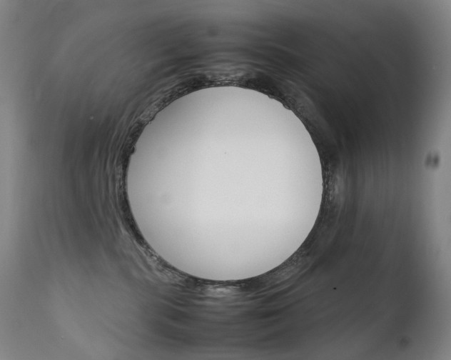 X0000111630283200907171136