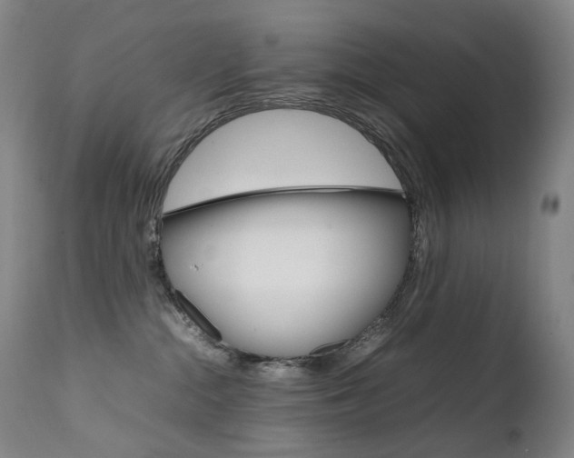 X0000111630284200907171136