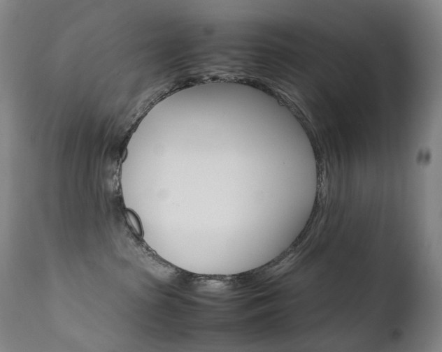 X0000111630285200907171136