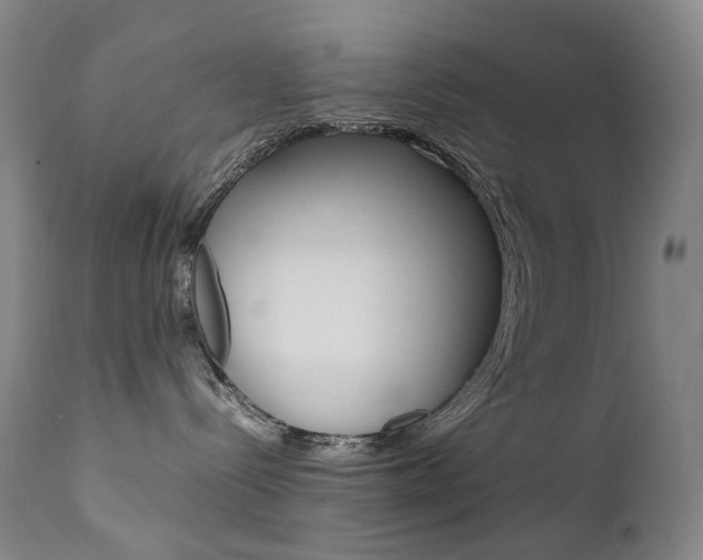 X0000111630288200907171136