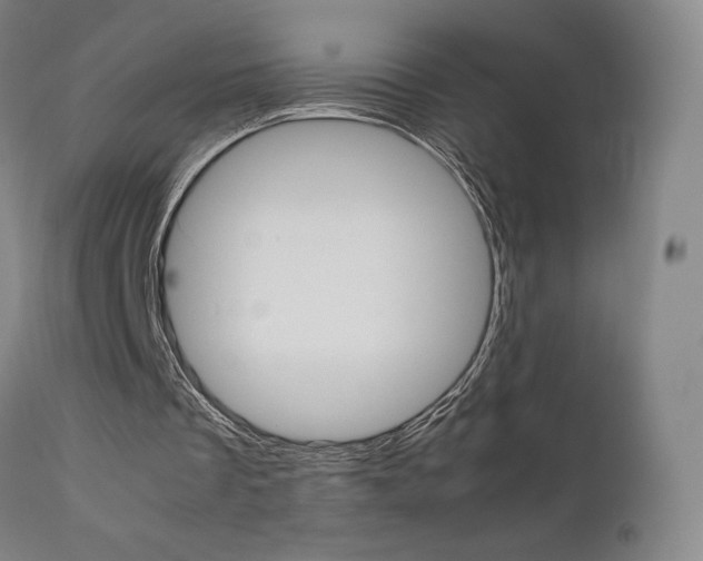 X0000111630289200907171136
