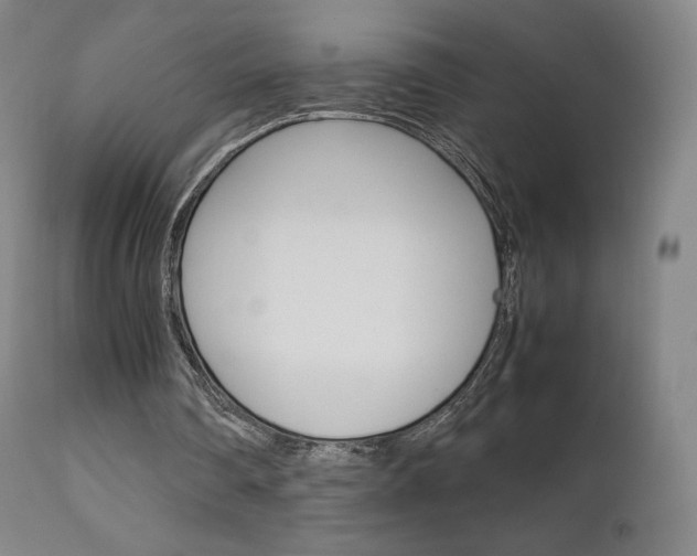 X0000111630290200907171136