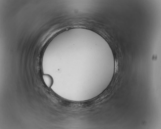 X0000111630291200907171136