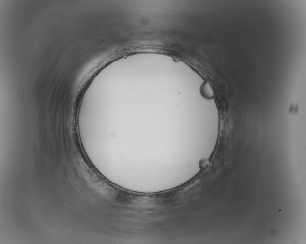X0000111630293200907171136