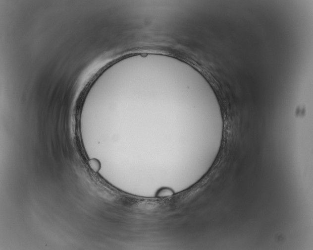 X0000111630294200907171136