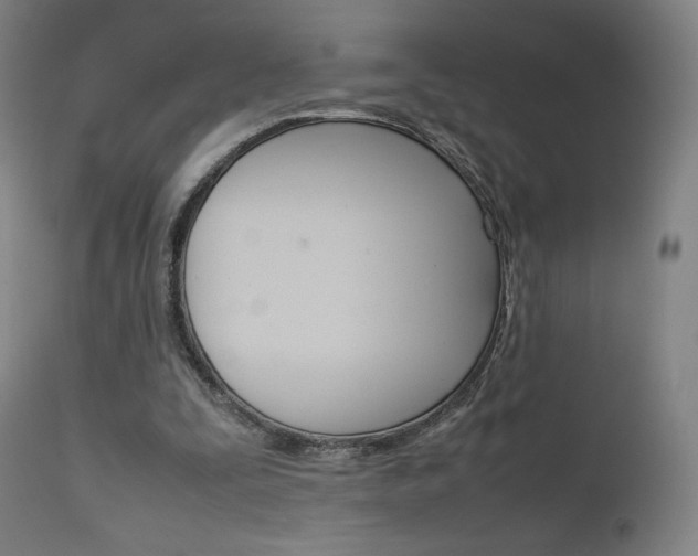 X0000111630295200907171136