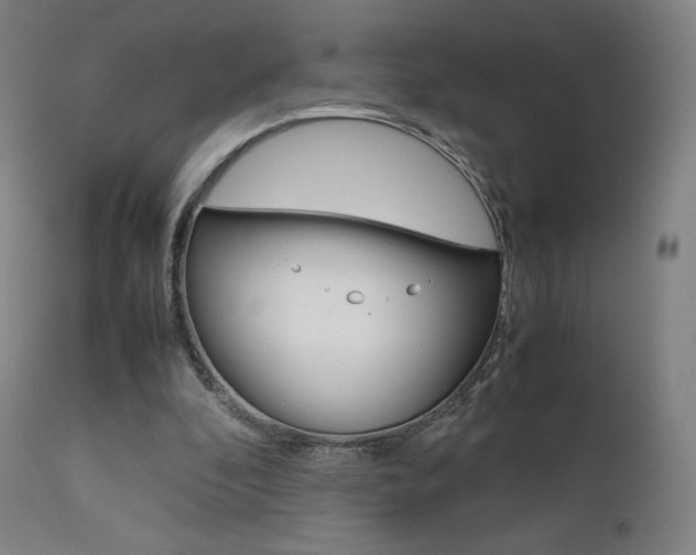 X0000111630296200907171136