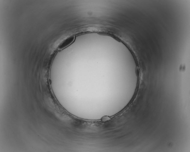 X0000111630297200907171136