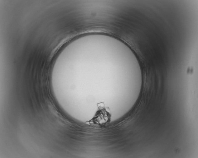 X0000111630300200907171136