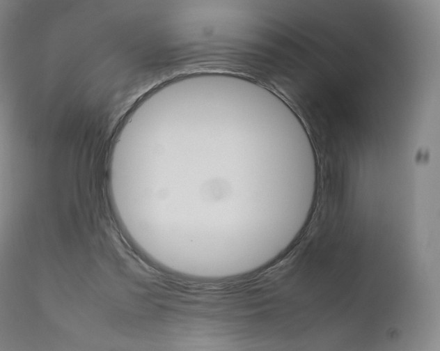 X0000111630301200907171135