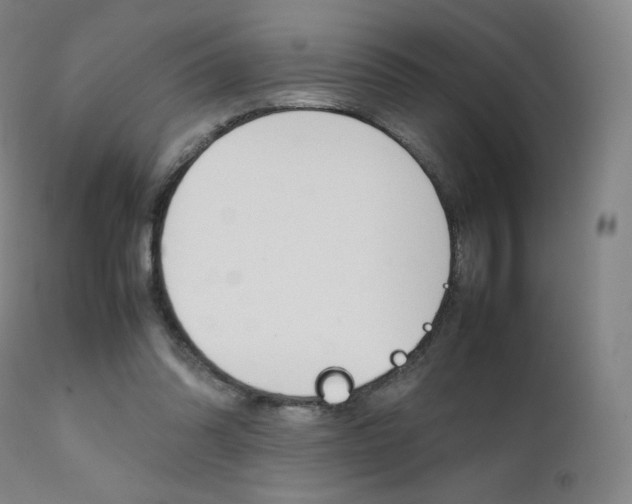 X0000111630302200907171135