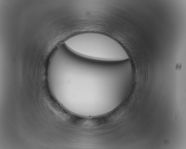 X0000111630303200907171135