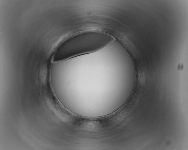 X0000111630304200907171135