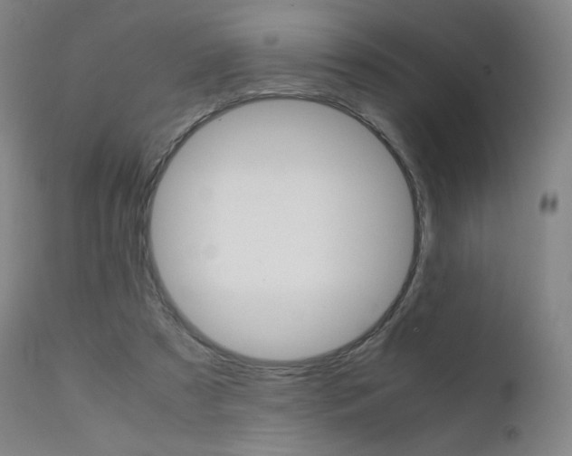 X0000111630305200907171135