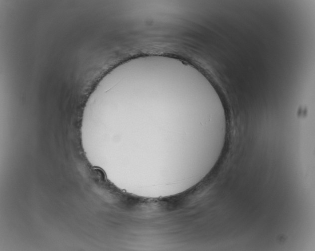X0000111630307200907171135