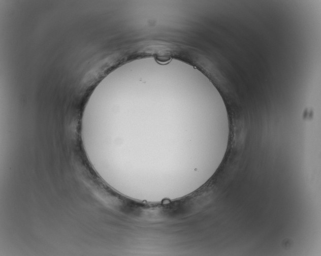 X0000111630309200907171135
