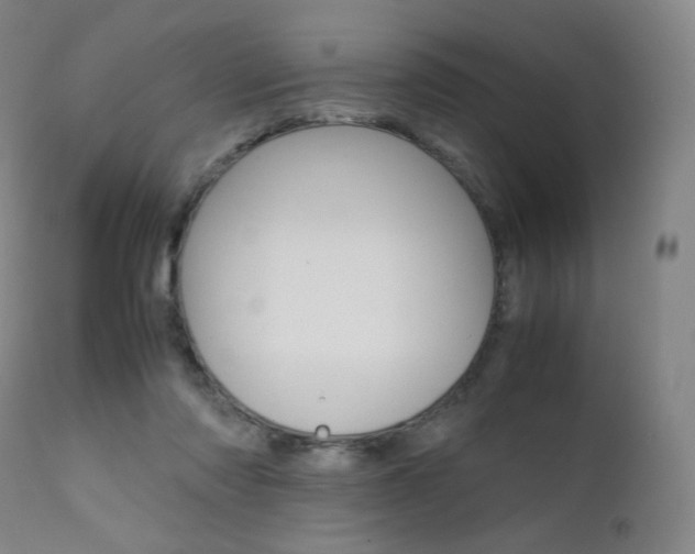X0000111630310200907171135