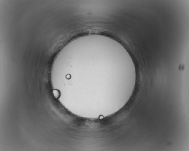 X0000111630311200907171135