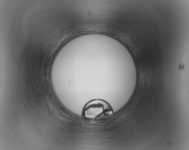 X0000111630312200907171135