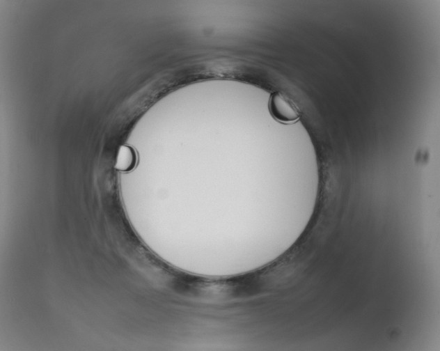 X0000111630313200907171135