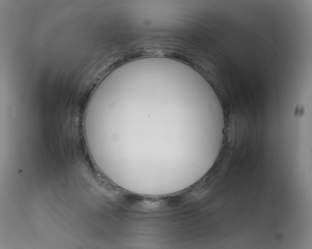 X0000111630314200907171135