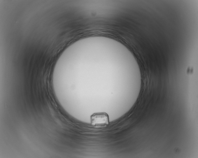 X0000111630316200907171135