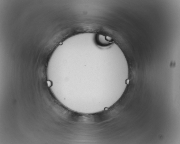 X0000111630317200907171135