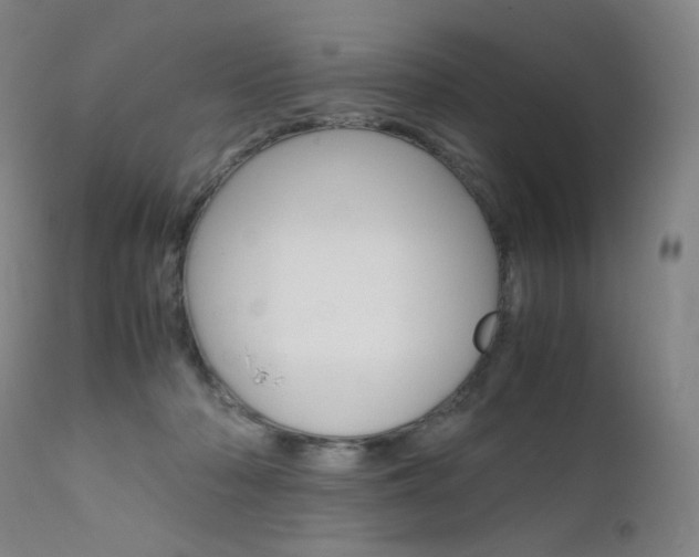 X0000111630318200907171135