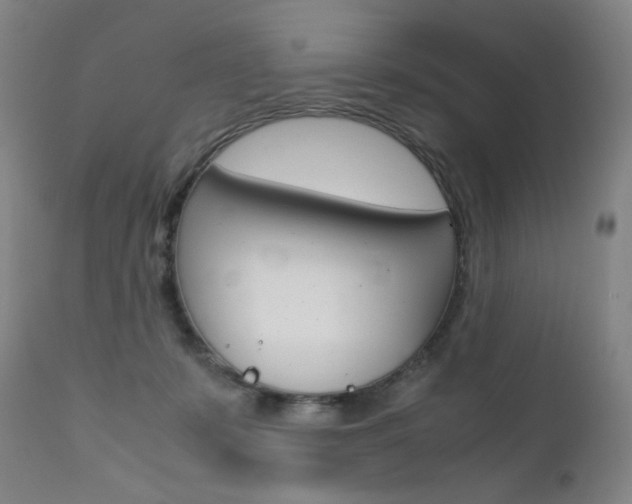 X0000111630319200907171135