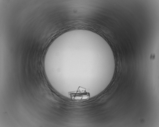 X0000111630320200907171135