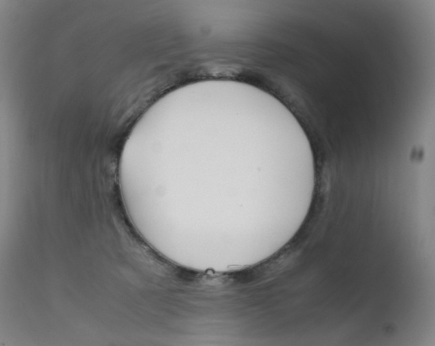 X0000111630321200907171135