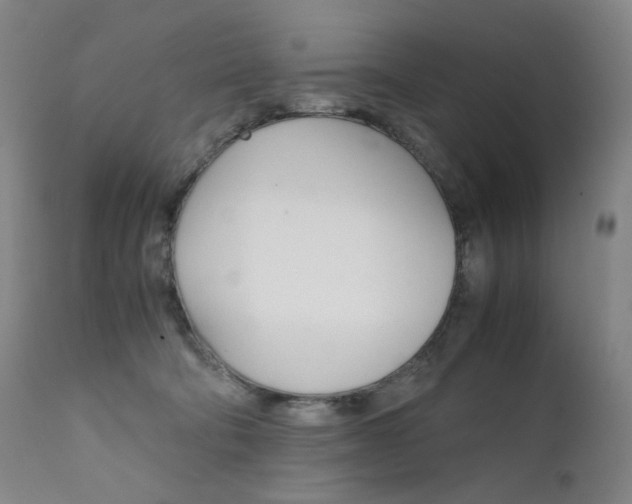 X0000111630322200907171135