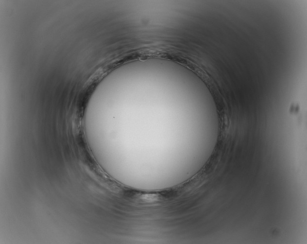 X0000111630324200907171135