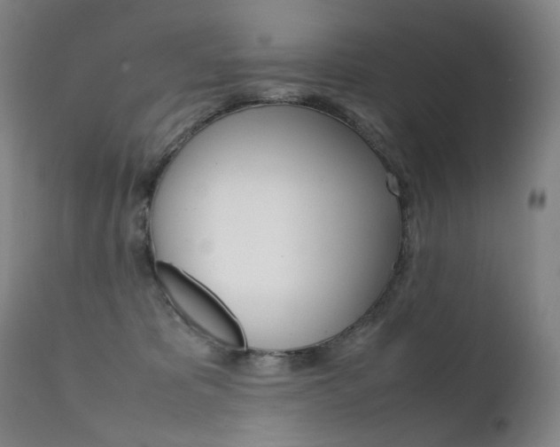X0000111630325200907171135