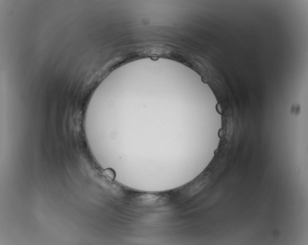 X0000111630326200907171135