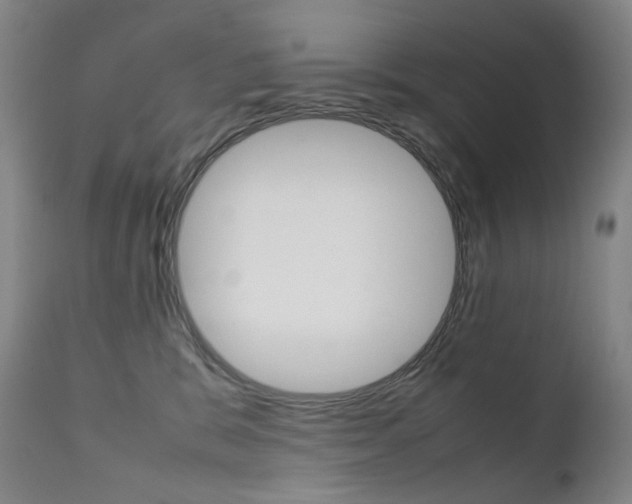 X0000111630327200907171135
