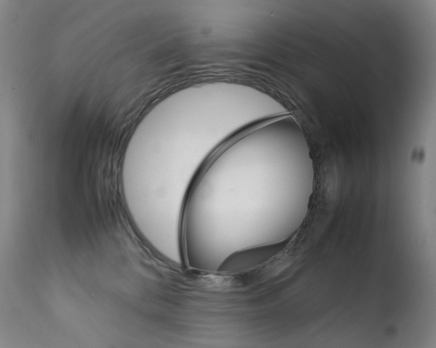 X0000111630328200907171135