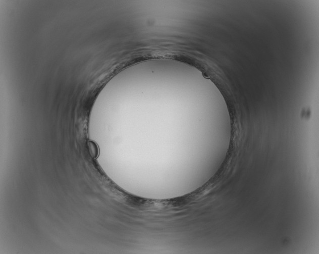 X0000111630329200907171135