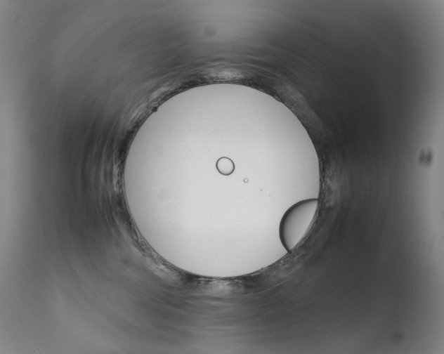 X0000111630330200907171135