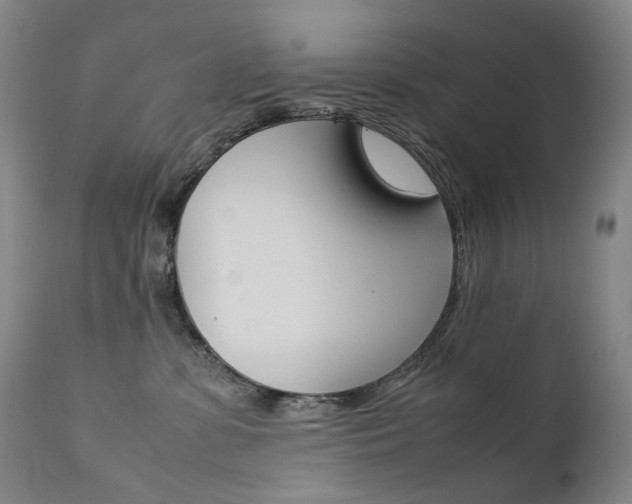 X0000111630331200907171135
