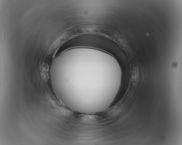 X0000111630332200907171135