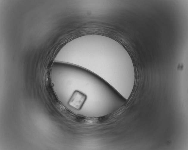 X0000111630333200907171135
