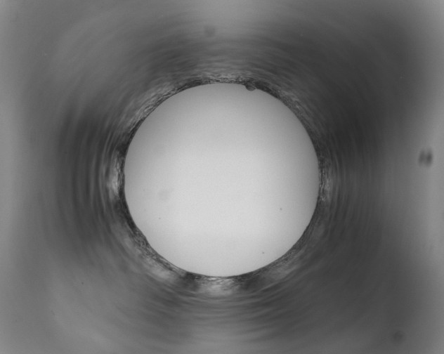 X0000111630334200907171135