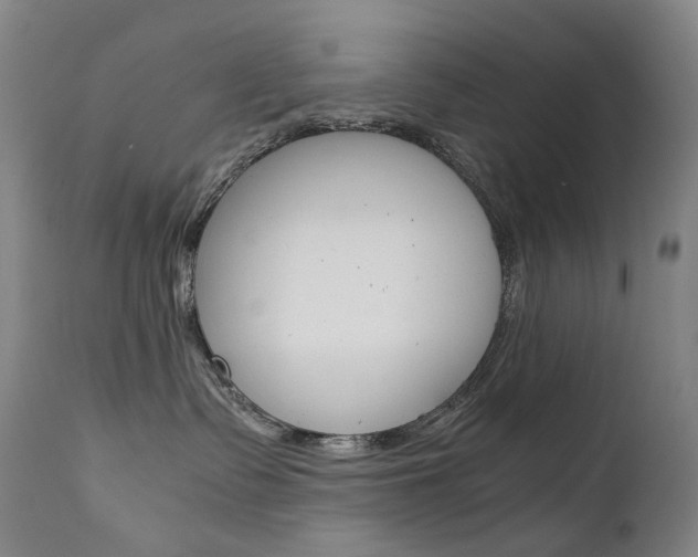 X0000111630335200907171135