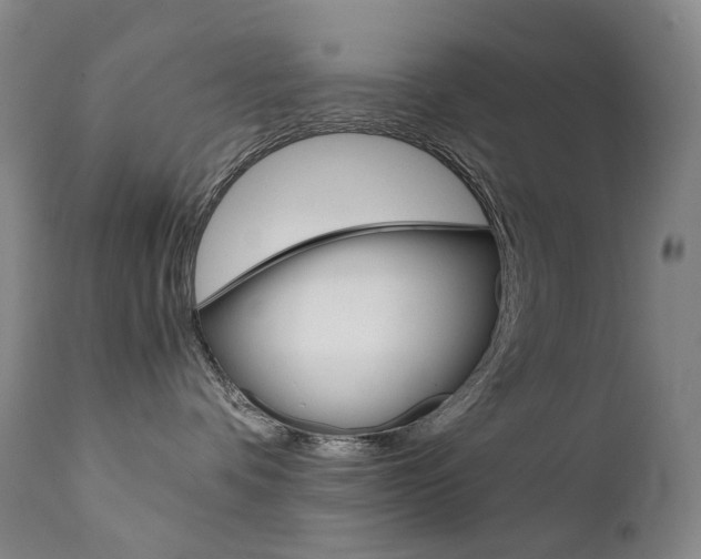 X0000111630336200907171135