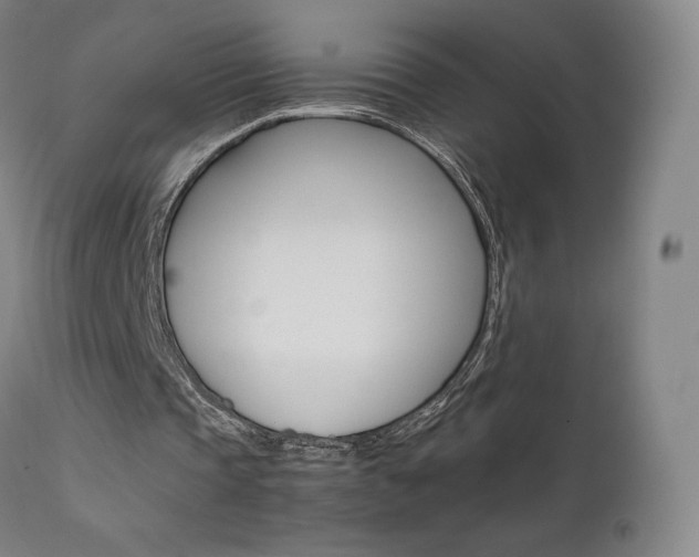 X0000111630337200907171134