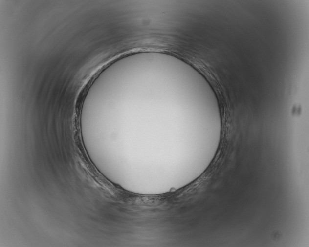 X0000111630338200907171134