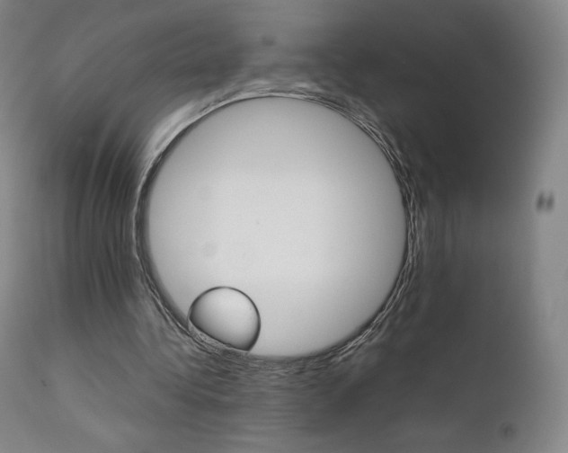X0000111630340200907171134