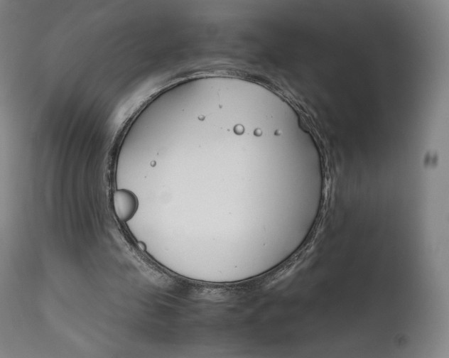 X0000111630341200907171134