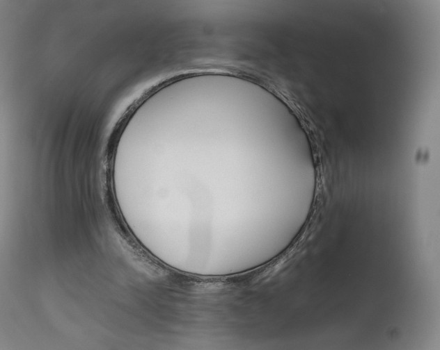 X0000111630342200907171134